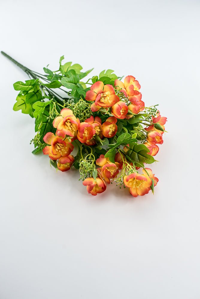 Indian Hawthorn Bush - Orange - Greenery Market28171