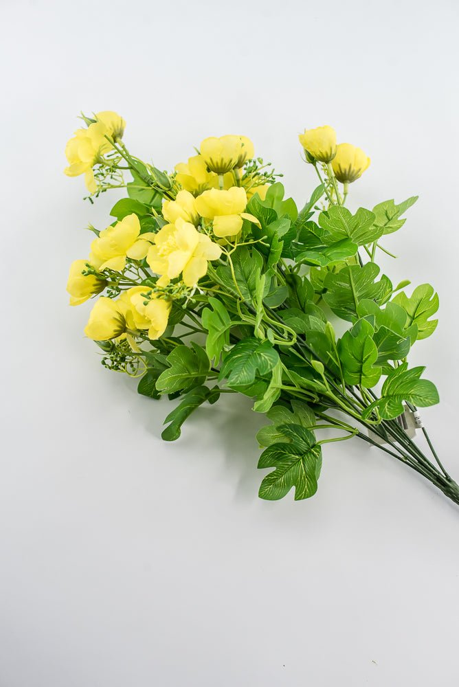 Indian Hawthorn Bush - Yellow - Greenery Market28170