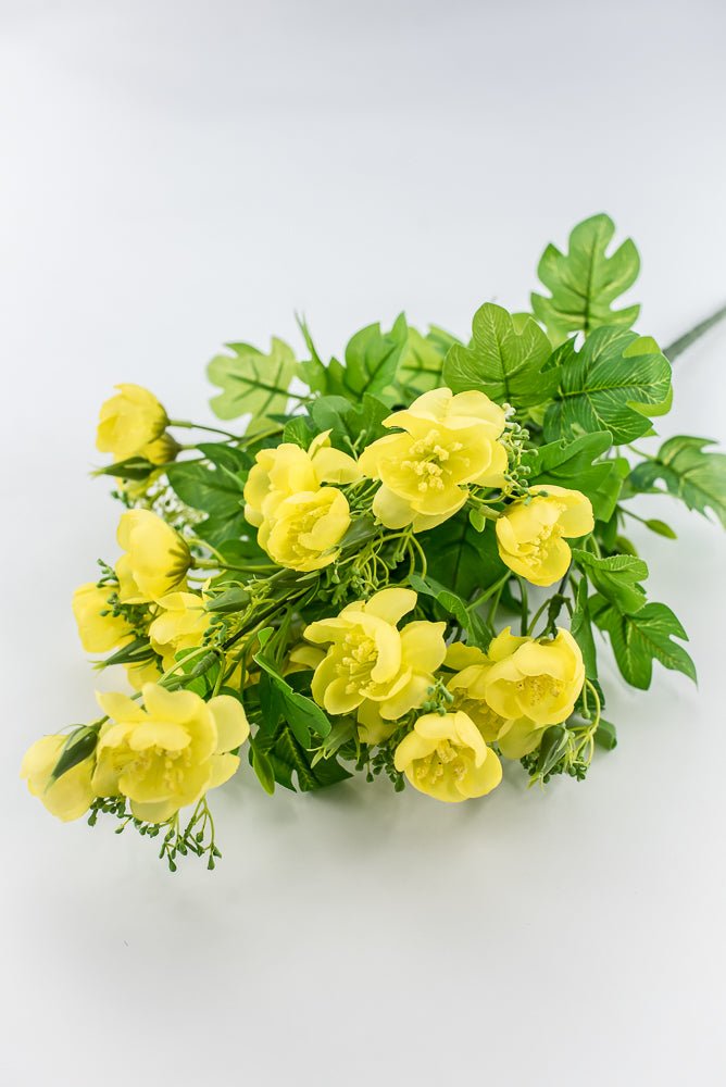 Indian Hawthorn Bush - Yellow - Greenery Market28170