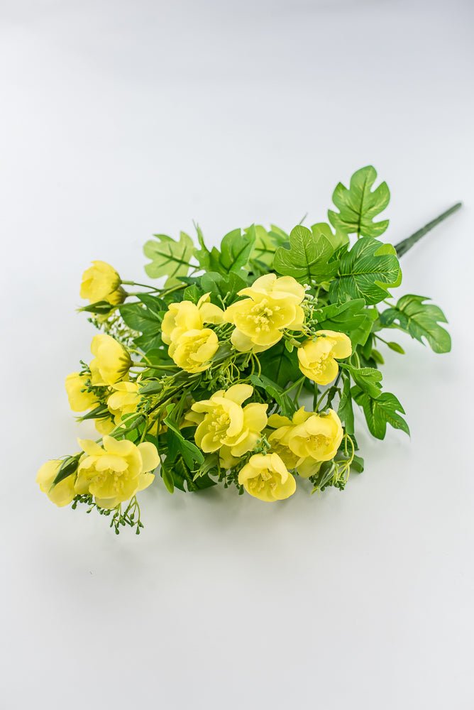 Indian Hawthorn Bush - Yellow - Greenery Market28170