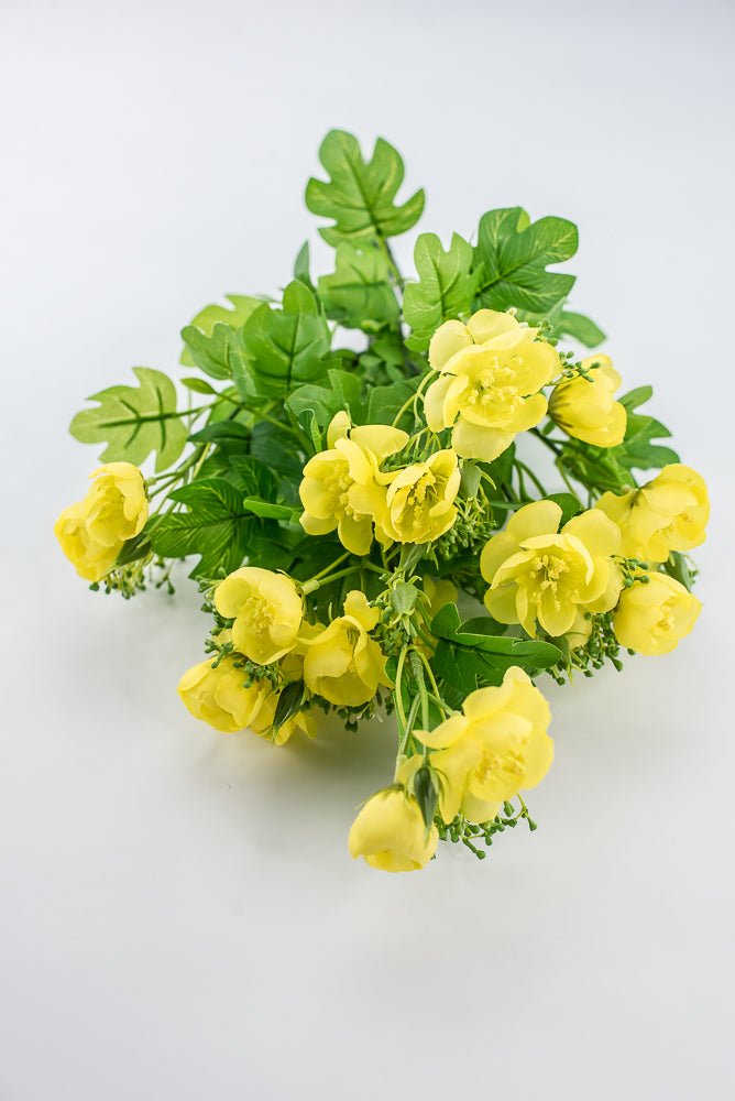 Indian Hawthorn Bush - Yellow - Greenery Market28170