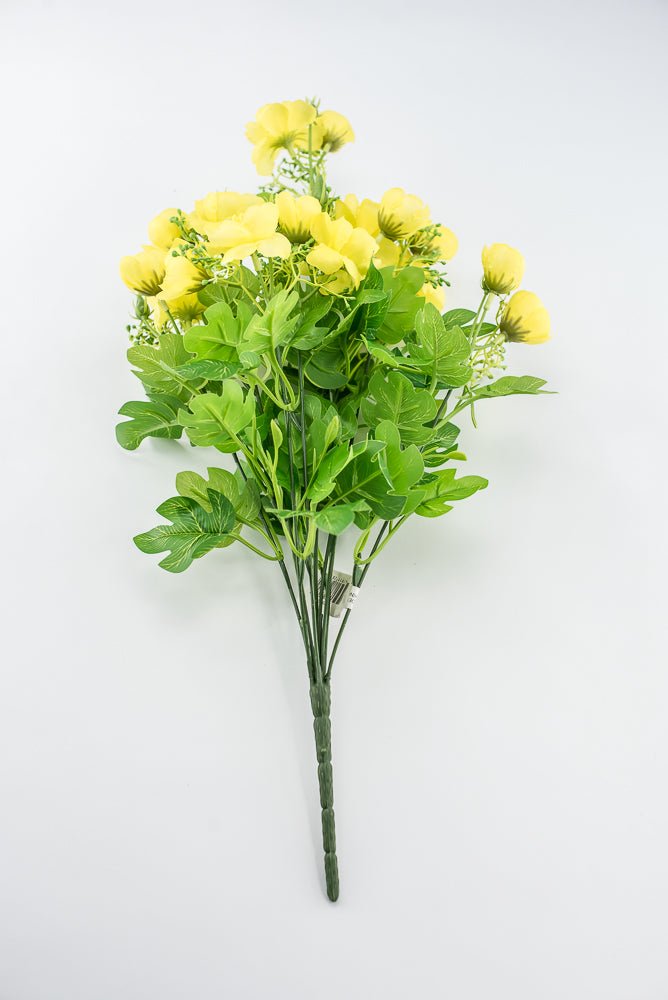 Indian Hawthorn Bush - Yellow - Greenery Market28170