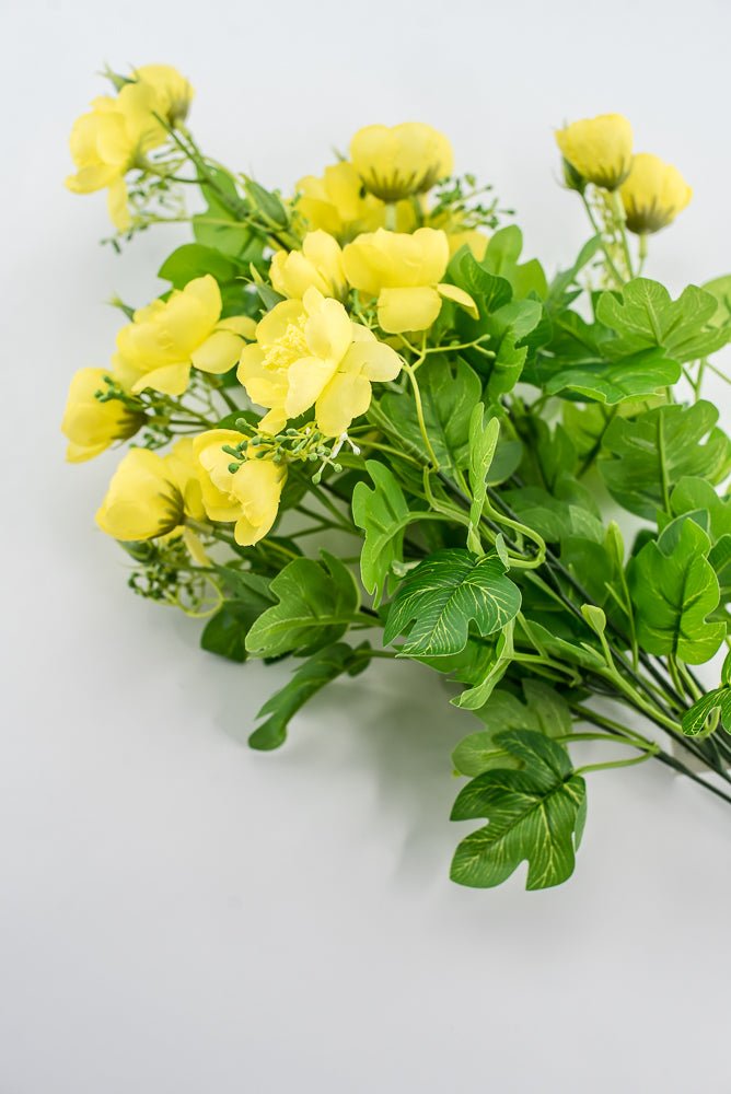 Indian Hawthorn Bush - Yellow - Greenery Market28170