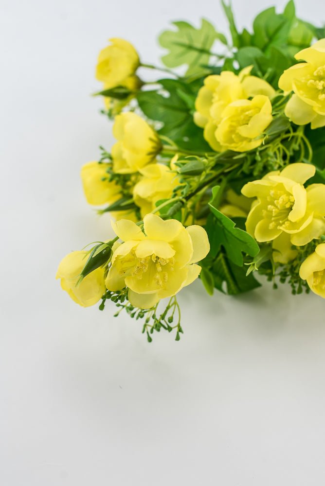 Indian Hawthorn Bush - Yellow - Greenery Market28170