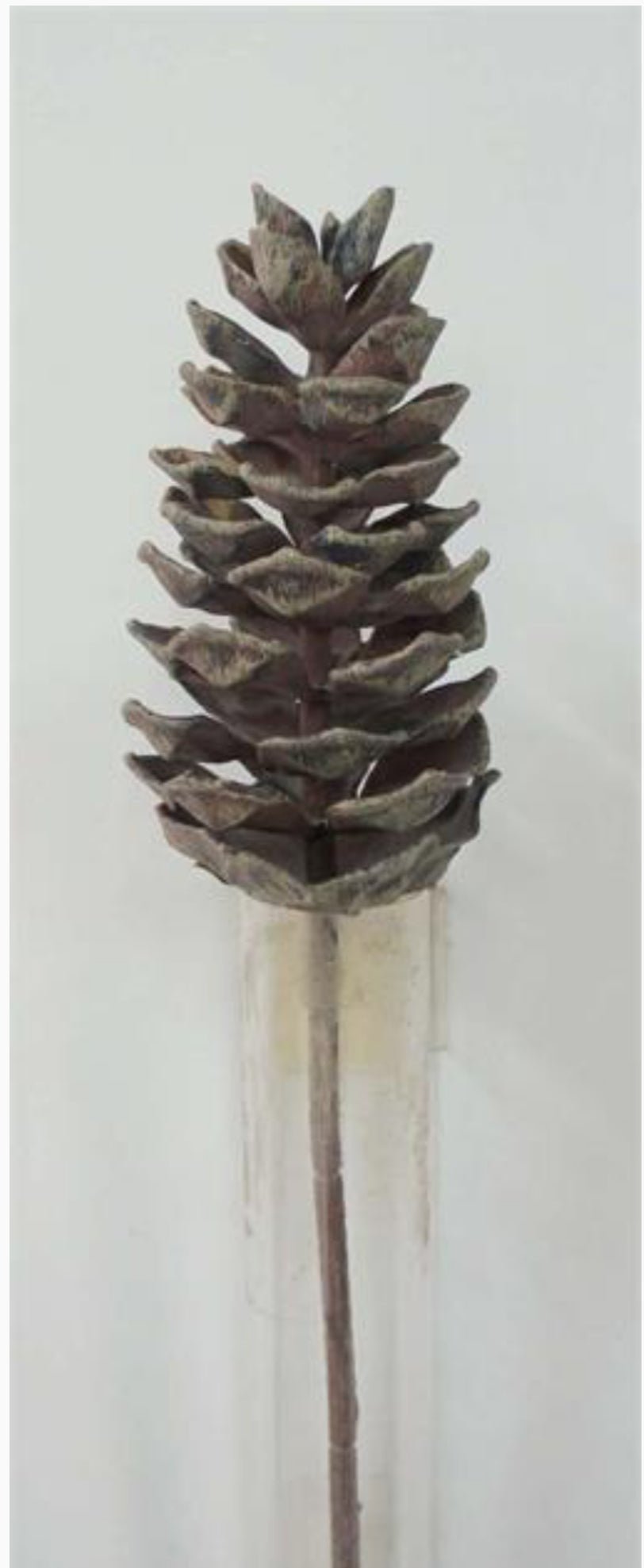 Large Fake, Pinecone Pick - 17" - Greenery MarketXP2660PINECONE
