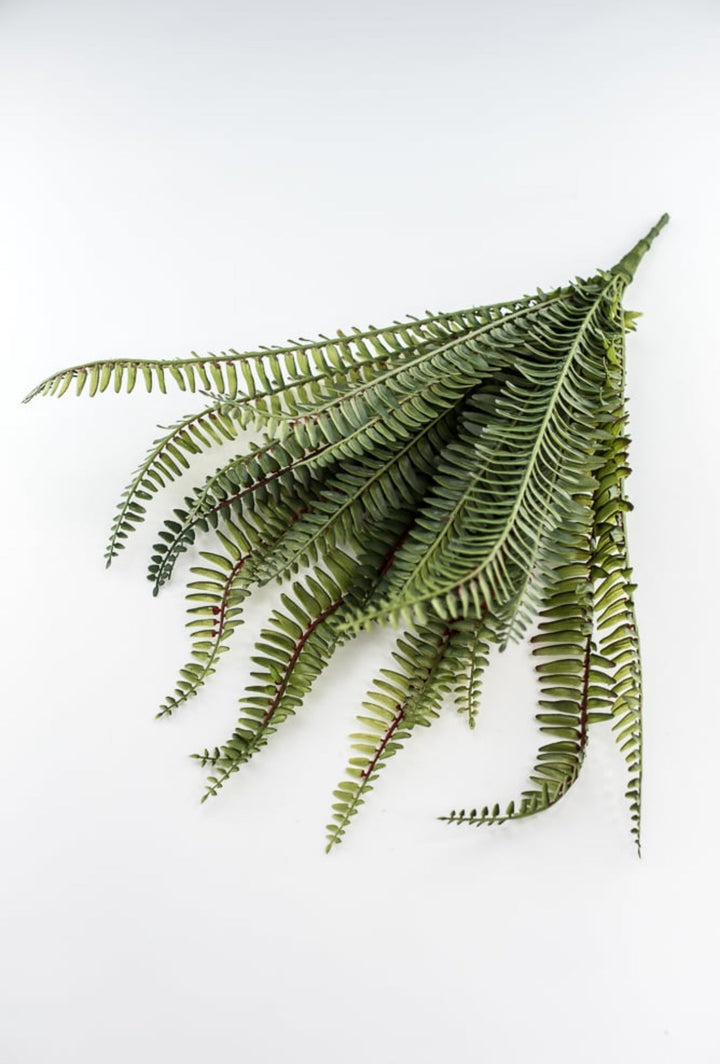 Large Fern bush green - 20” - Greenery MarketgreeneryFL6970 - G