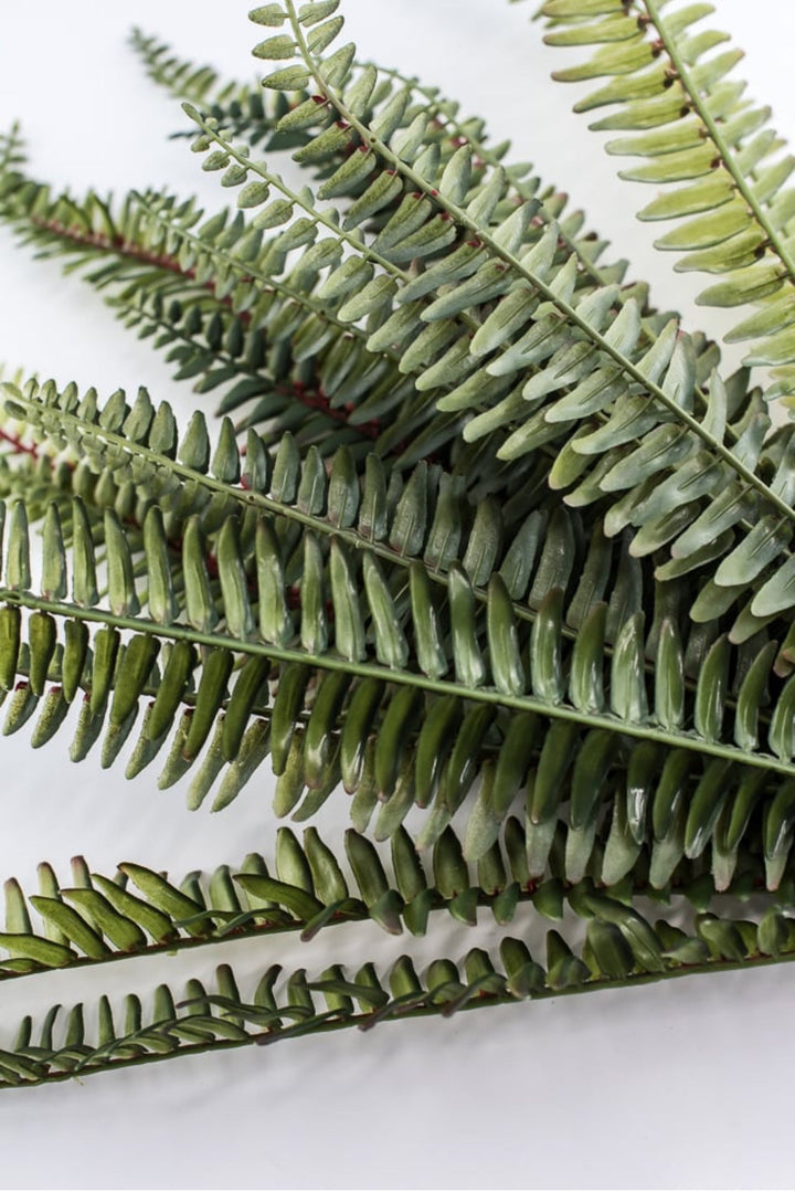 Large Fern bush green - 20” - Greenery MarketgreeneryFL6970 - G