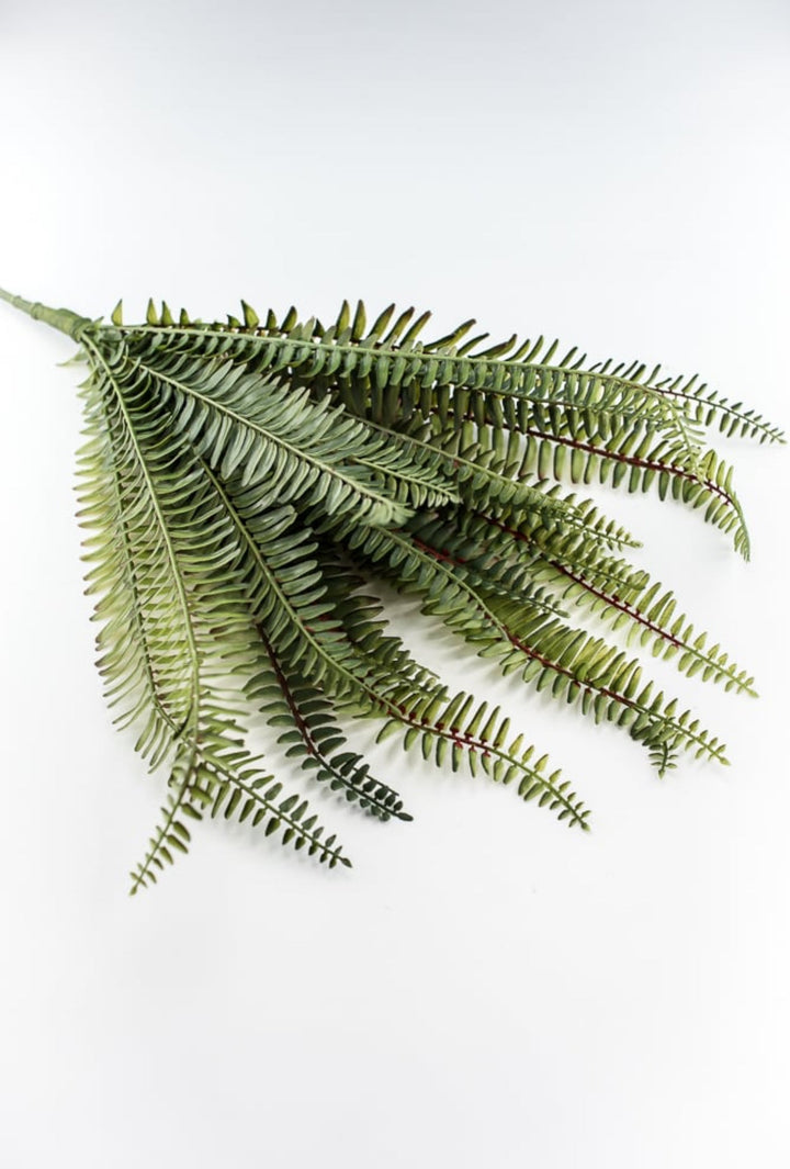 Large Fern bush green - 20” - Greenery MarketgreeneryFL6970 - G