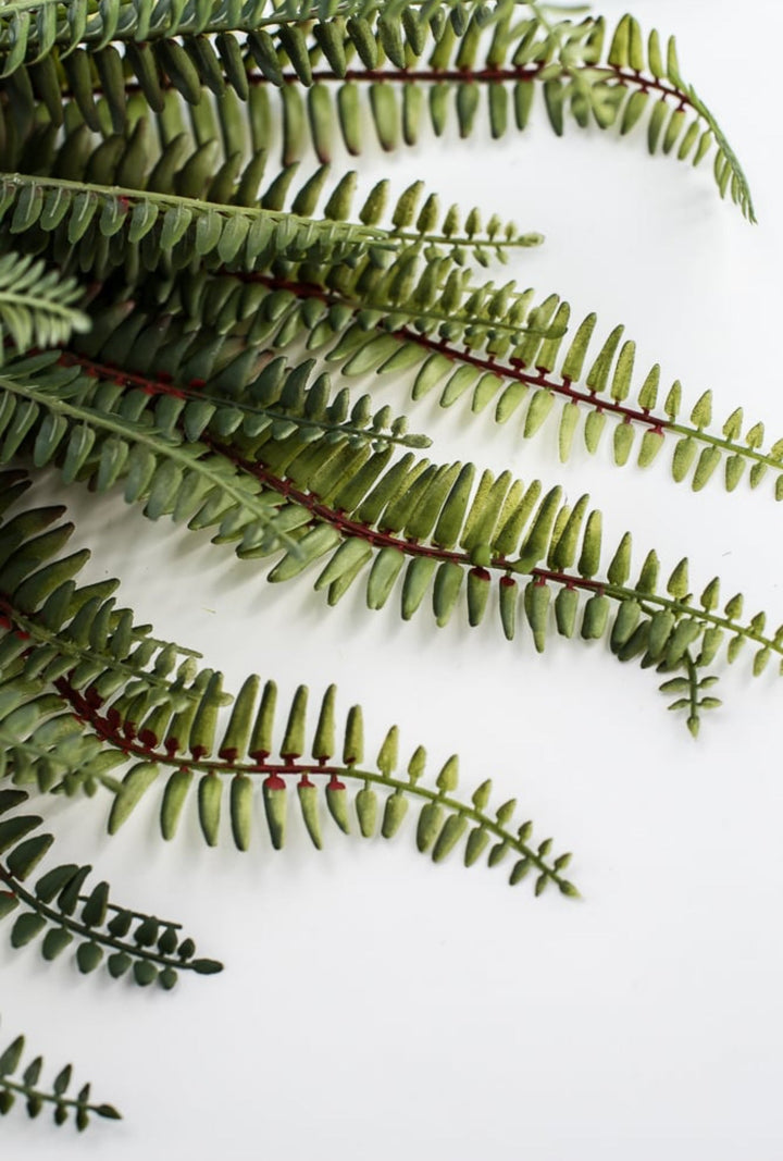 Large Fern bush green - 20” - Greenery MarketgreeneryFL6970 - G