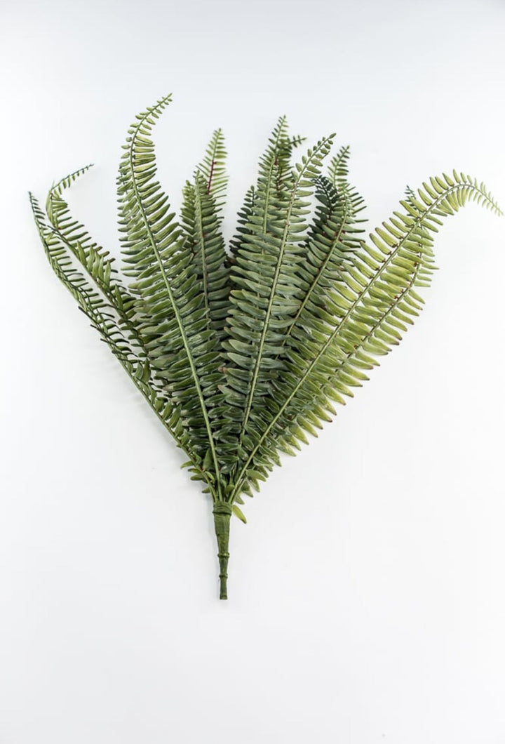 Large Fern bush green - 20” - Greenery MarketgreeneryFL6970 - G