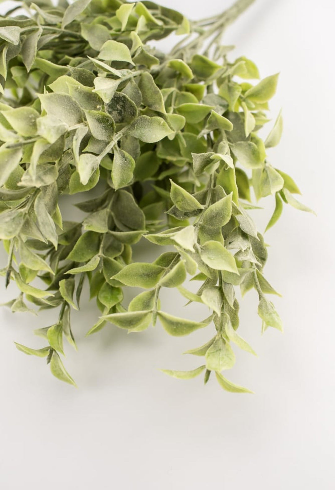 Laurel Leaf bush green - Greenery Marketgreenery2320110FG