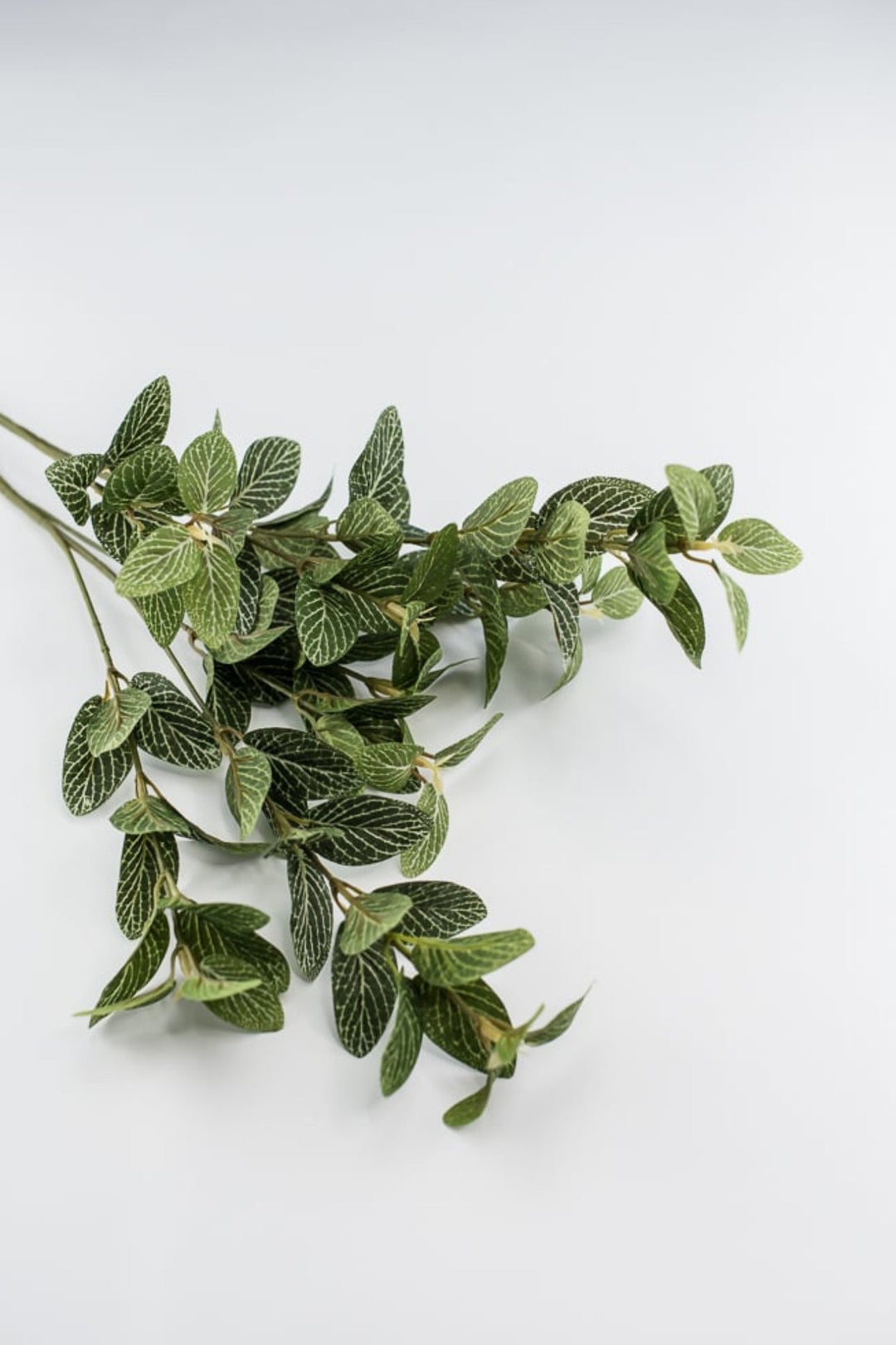 Laurel leaf variegated spray - Greenery MarketArtificial Flora13580GN