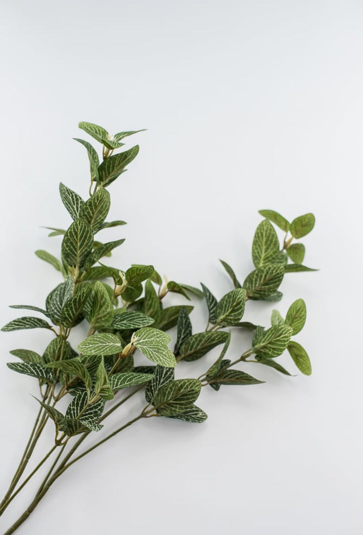 Laurel leaf variegated spray - Greenery MarketArtificial Flora13580GN