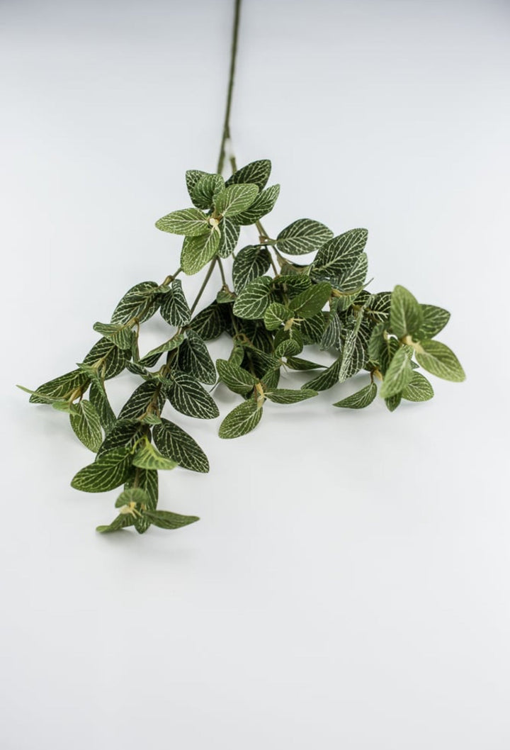 Laurel leaf variegated spray - Greenery MarketArtificial Flora13580GN