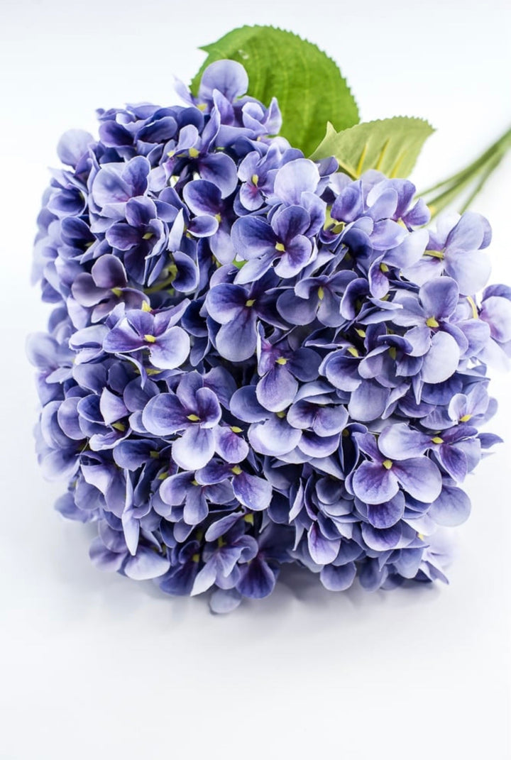 Lavender Hydrangea Bush - Greenery Market261203