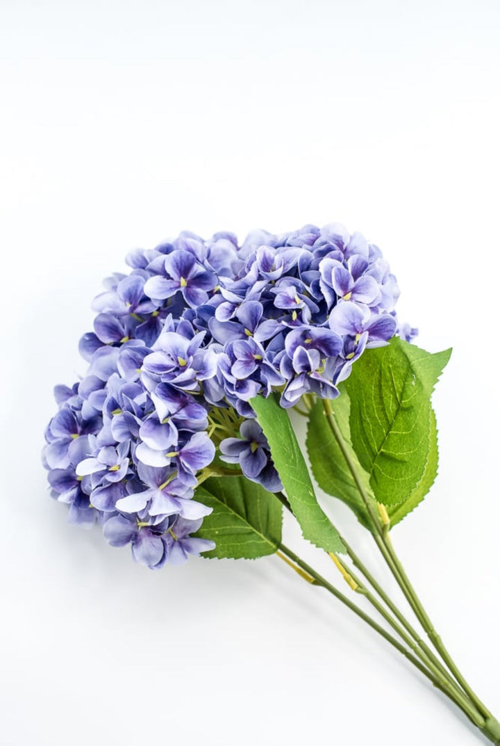 Lavender Hydrangea Bush - Greenery Market261203