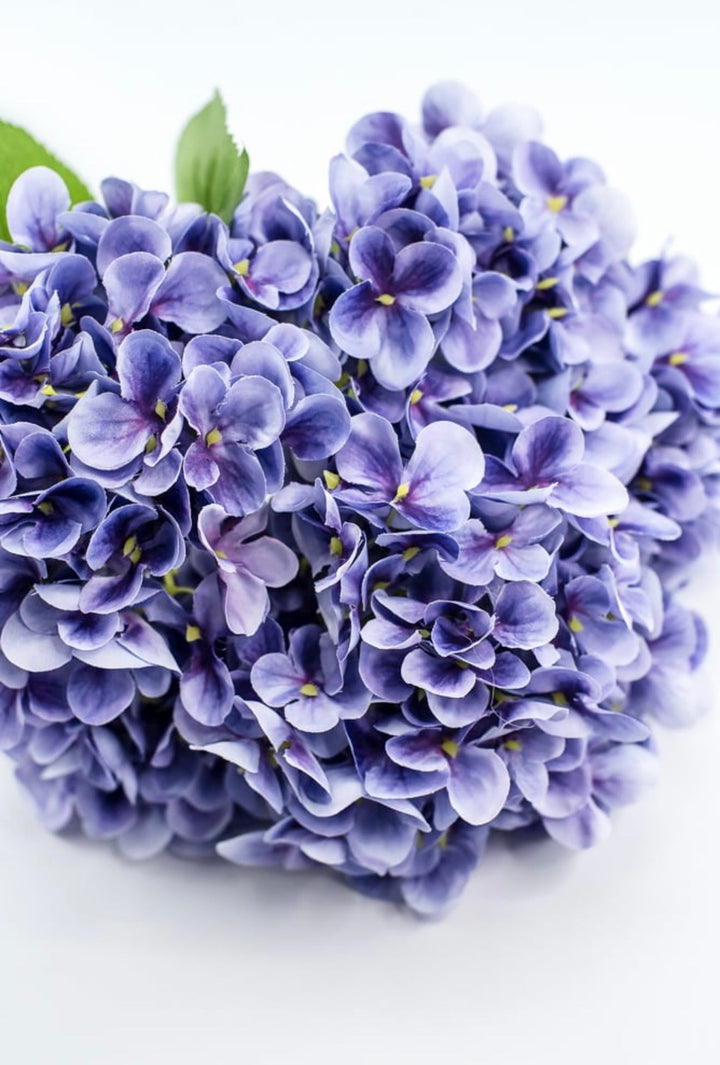 Lavender Hydrangea Bush - Greenery Market261203