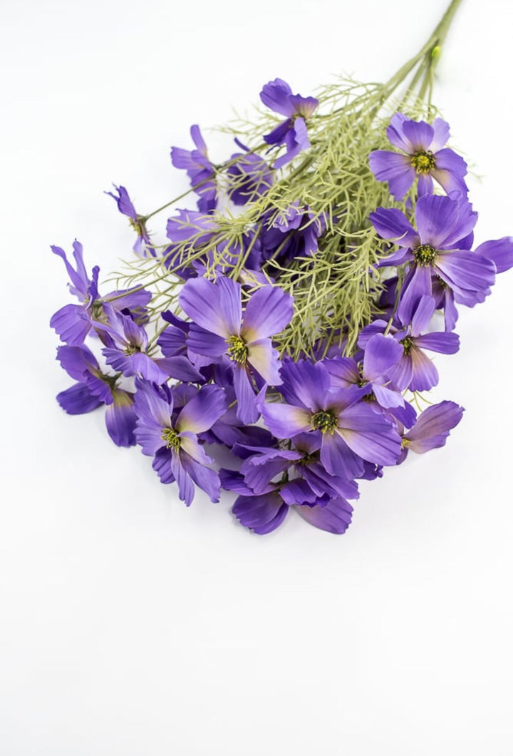 Lavender Purple Garden Cosmos Bush - Greenery Market63664LV
