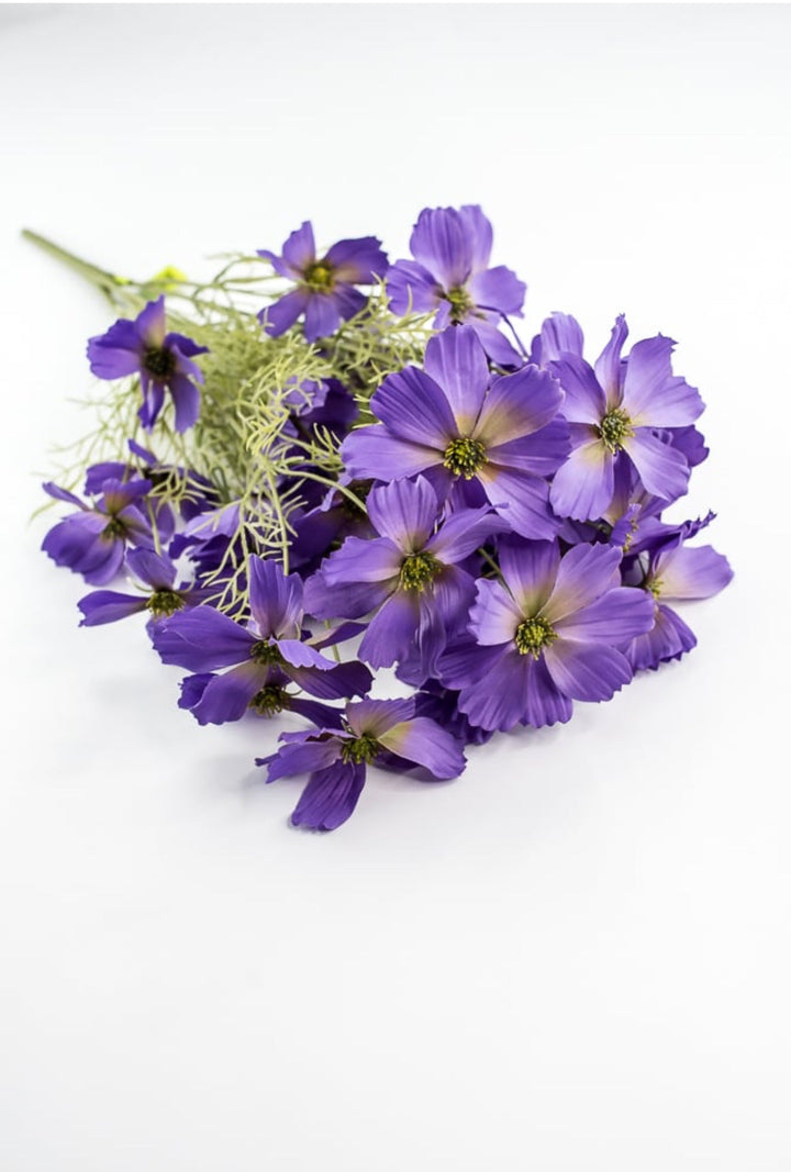 Lavender Purple Garden Cosmos Bush - Greenery Market63664LV
