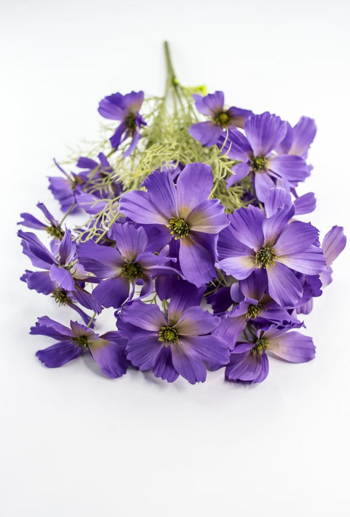 Lavender Purple Garden Cosmos Bush - Greenery Market63664LV