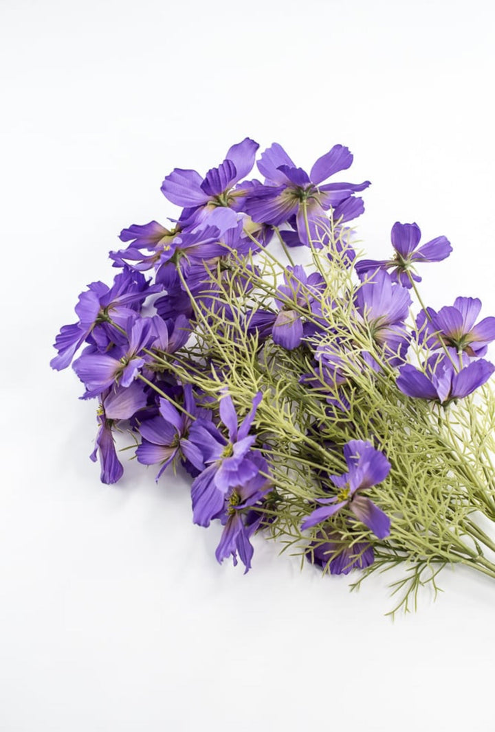 Lavender Purple Garden Cosmos Bush - Greenery Market63664LV