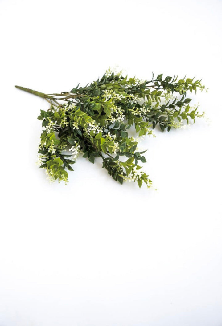 Leaf and seeds bush - off white - Greenery MarketFl5965 - cg