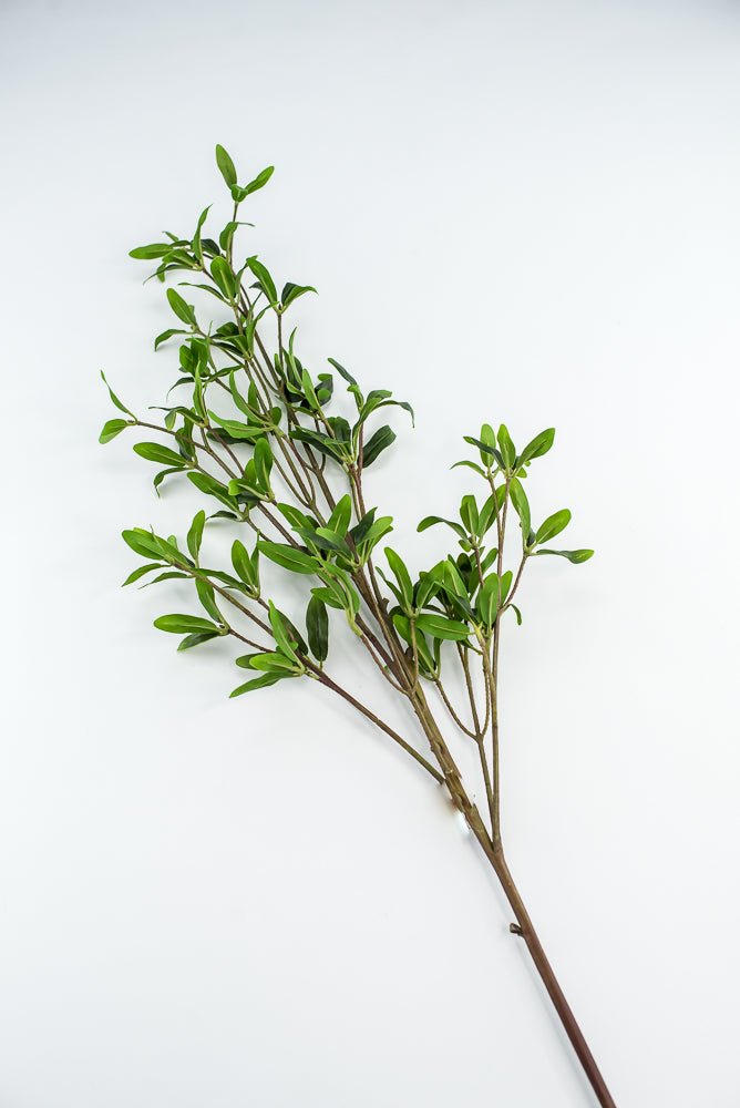 Leaf spray greenery - Greenery Marketgreenery2310319GR