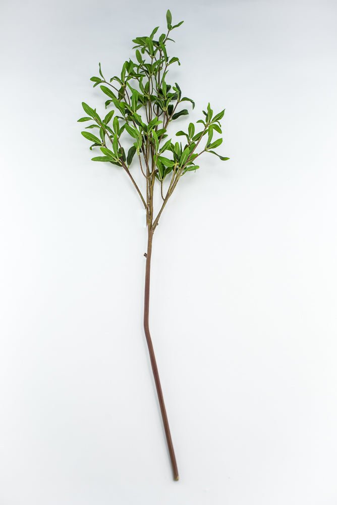 Leaf spray greenery - Greenery Marketgreenery2310319GR