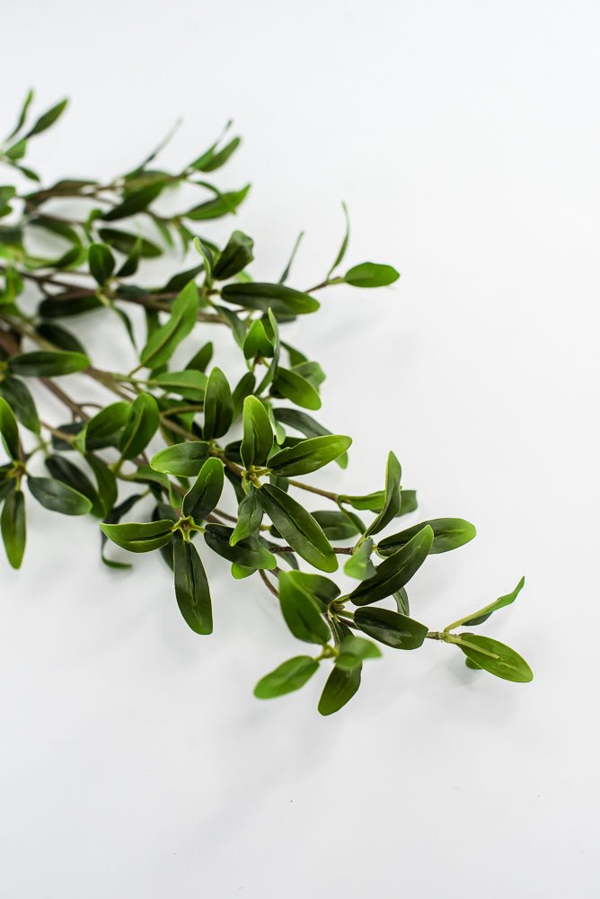 Leaf spray greenery - Greenery Marketgreenery2310319GR