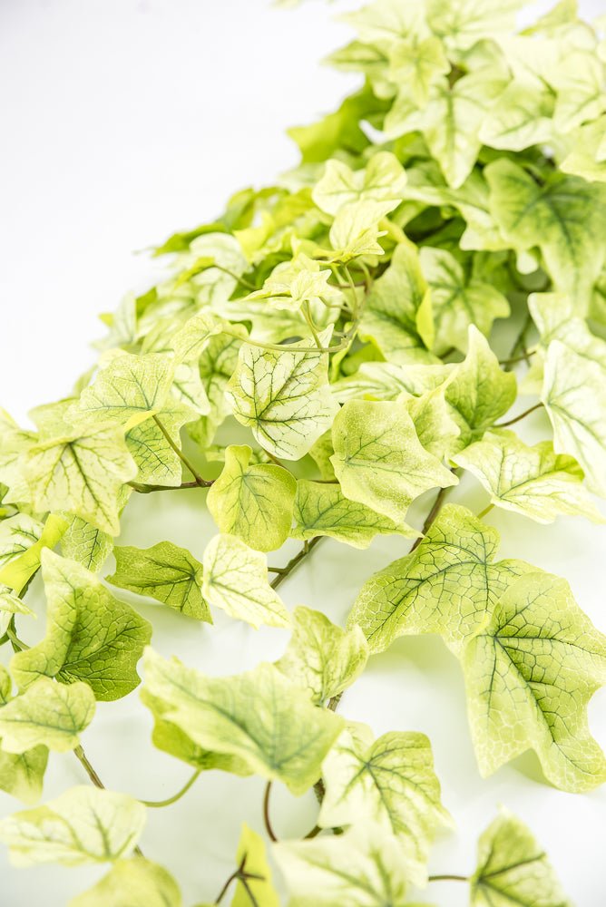 Lemon Lime Hanging Green Ivy Bush - 39” - Greenery MarketMTF24580