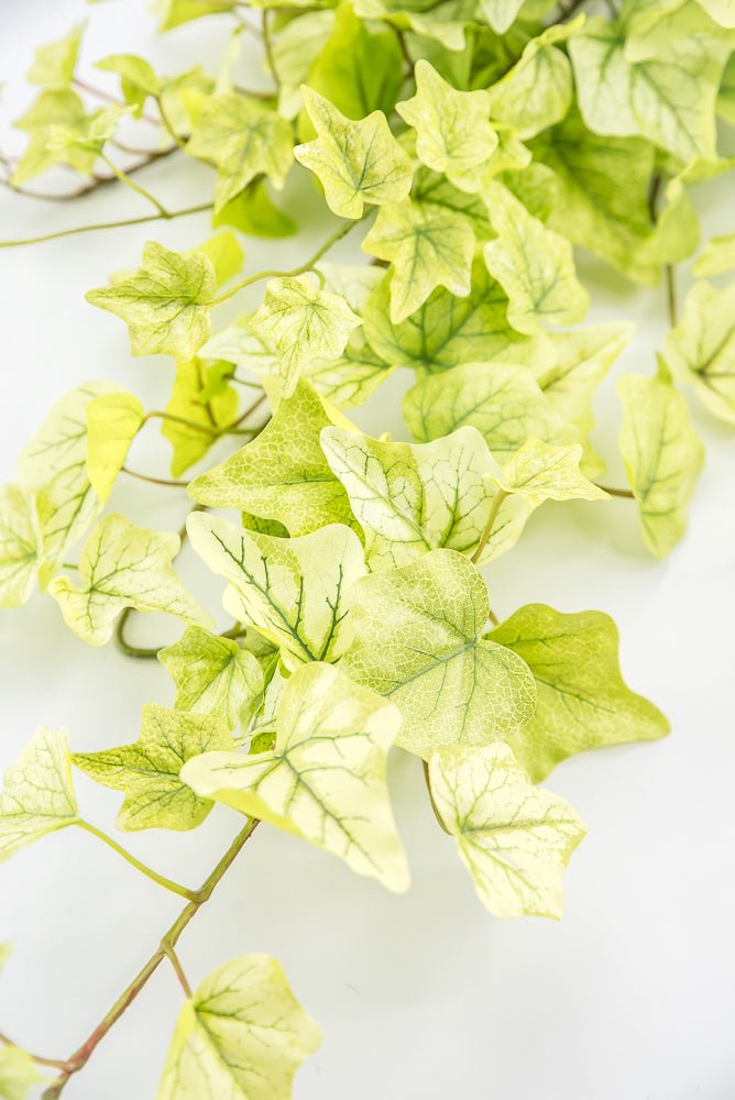 Lemon Lime Hanging Green Ivy Bush - 39” - Greenery MarketMTF24580