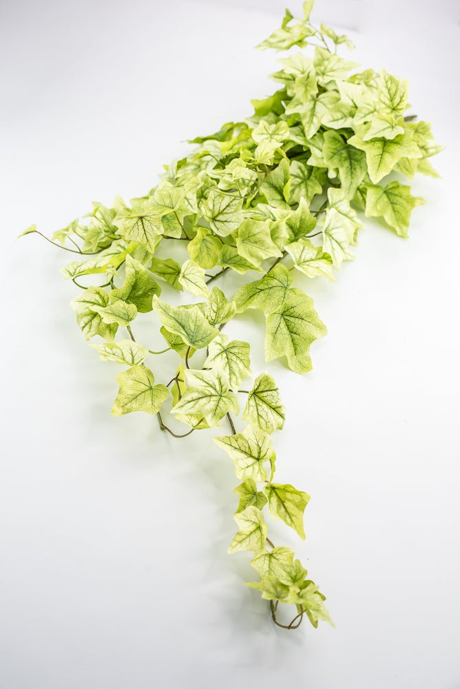 Lemon Lime Hanging Green Ivy Bush - 39” - Greenery MarketMTF24580