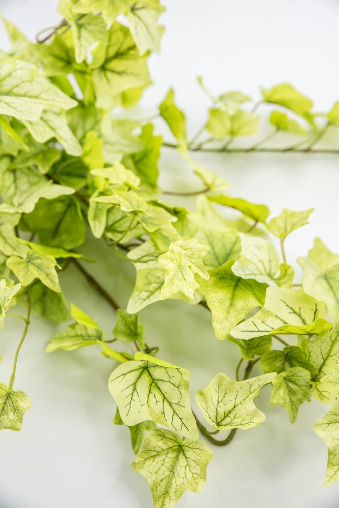 Lemon Lime Hanging Green Ivy Bush - 39” - Greenery MarketMTF24580
