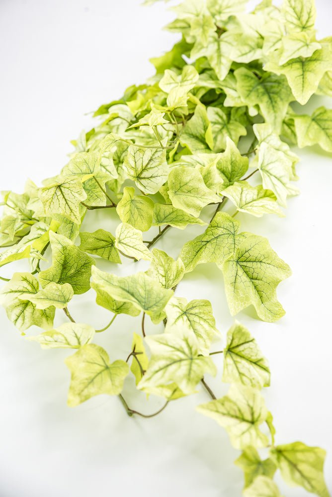 Lemon Lime Hanging Green Ivy Bush - 39” - Greenery MarketMTF24580