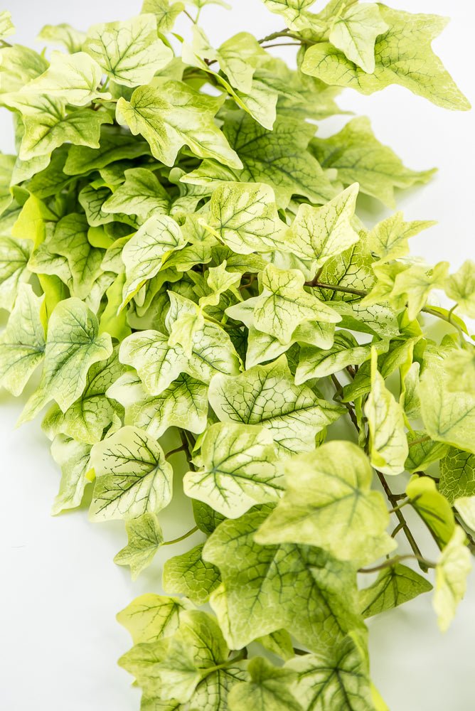Lemon Lime Hanging Green Ivy Bush - 39” - Greenery MarketMTF24580