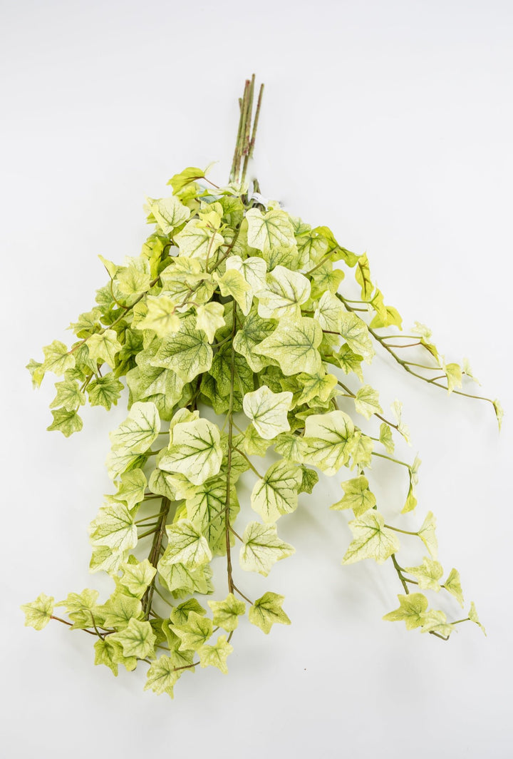 Lemon Lime Ivy Spray x Bulk 6 Sprays - Greenery MarketMTF24584 GRYE