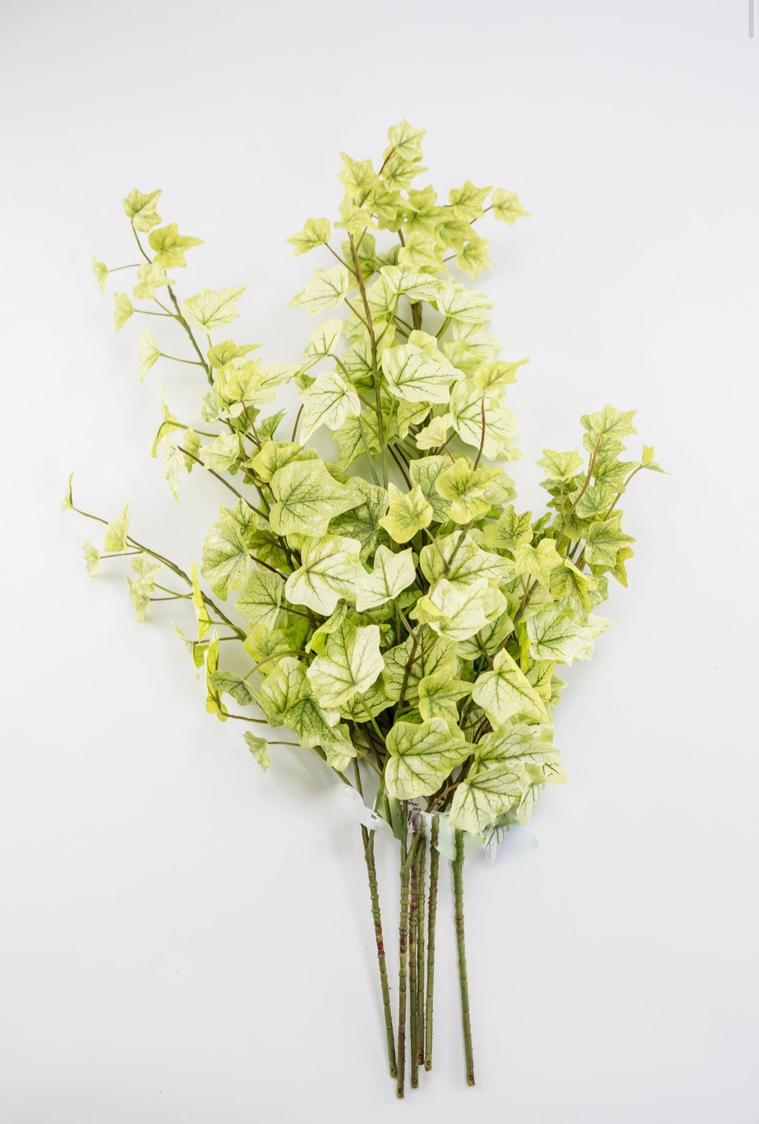 Lemon Lime Ivy Spray x Bulk 6 Sprays - Greenery MarketMTF24584 GRYE