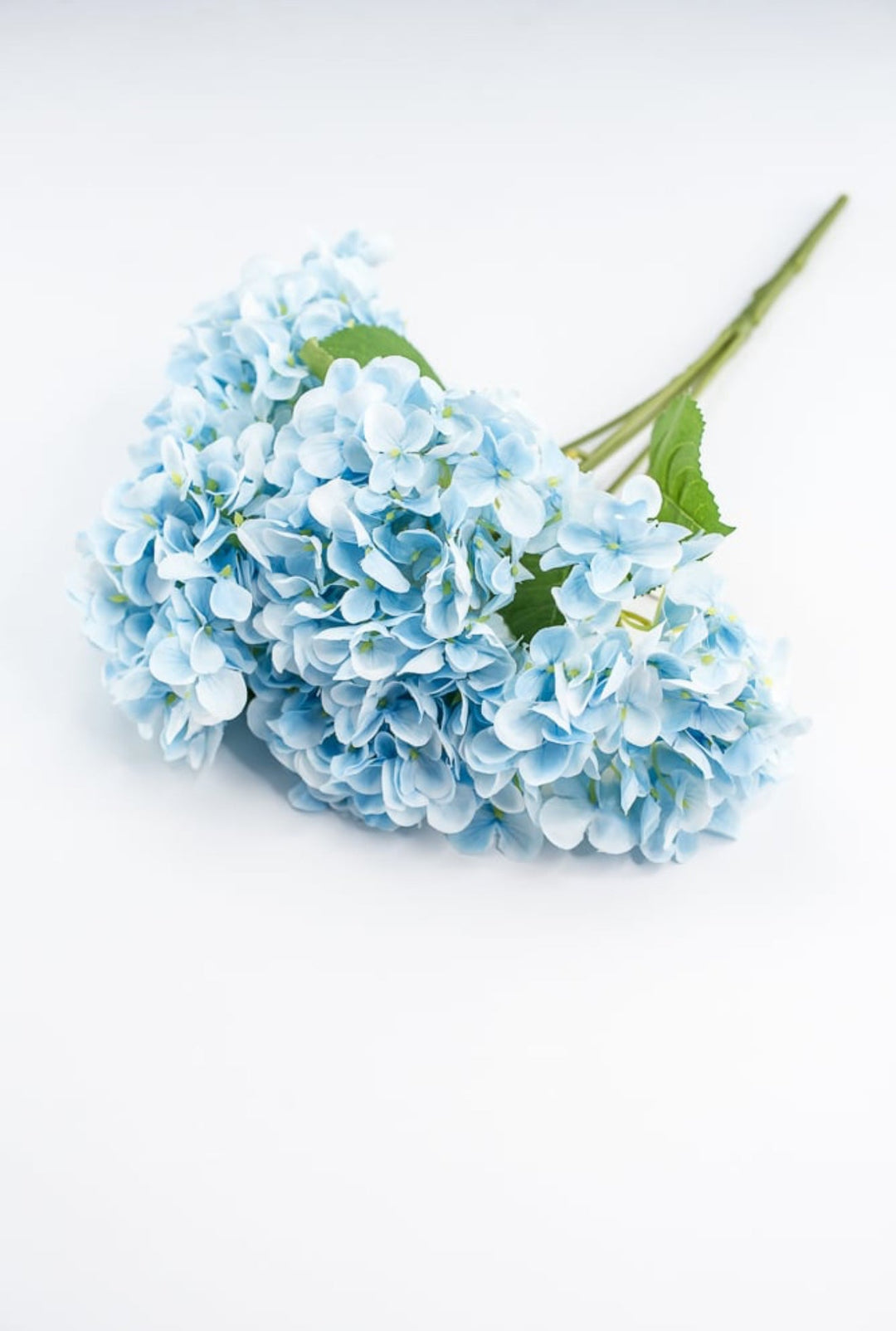 Light Blue Hydrangea Bush - Greenery Market261202