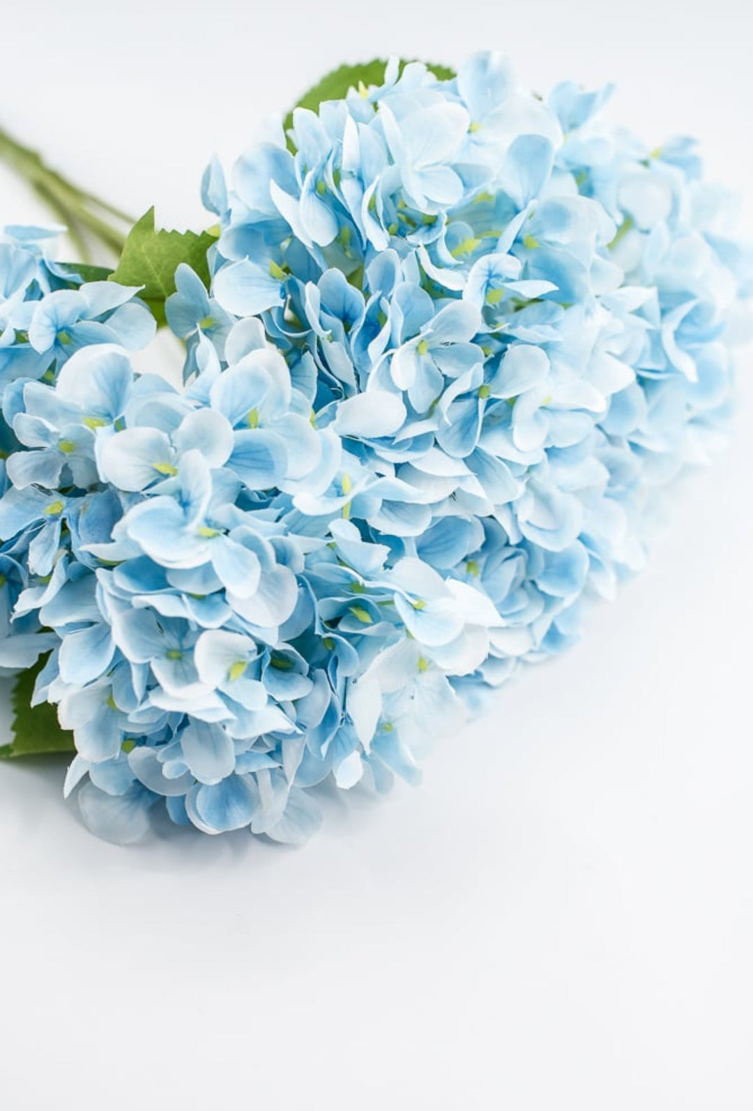 Light Blue Hydrangea Bush - Greenery Market261202