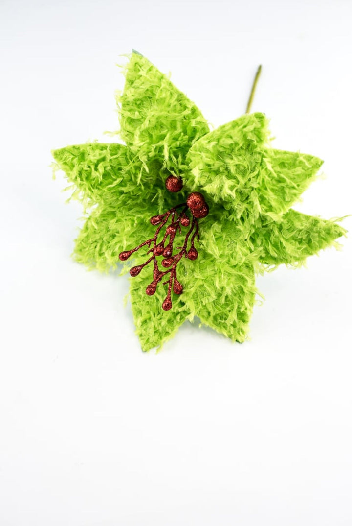 Lime green furry fluffy poinsettias - Greenery MarketXS410251