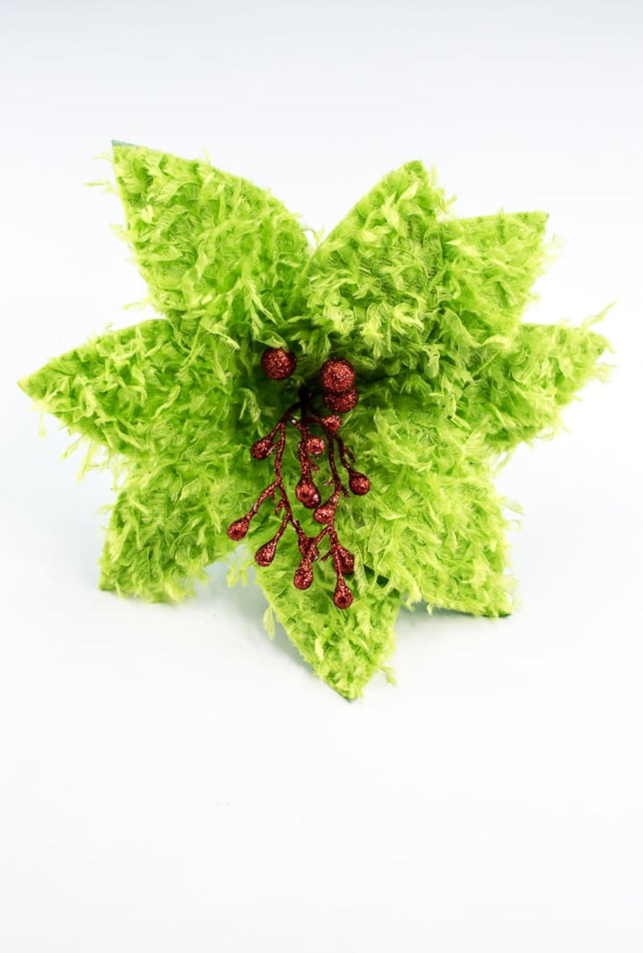 Lime green furry fluffy poinsettias - Greenery MarketXS410251