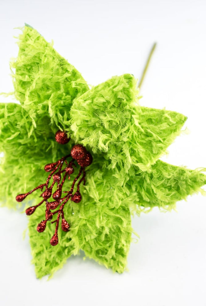 Lime green furry fluffy poinsettias - Greenery MarketXS410251