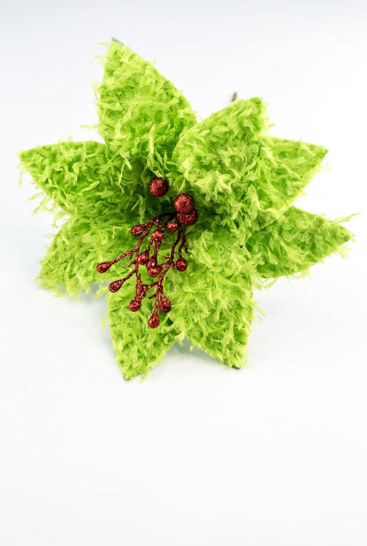 Lime green furry fluffy poinsettias - Greenery MarketXS410251