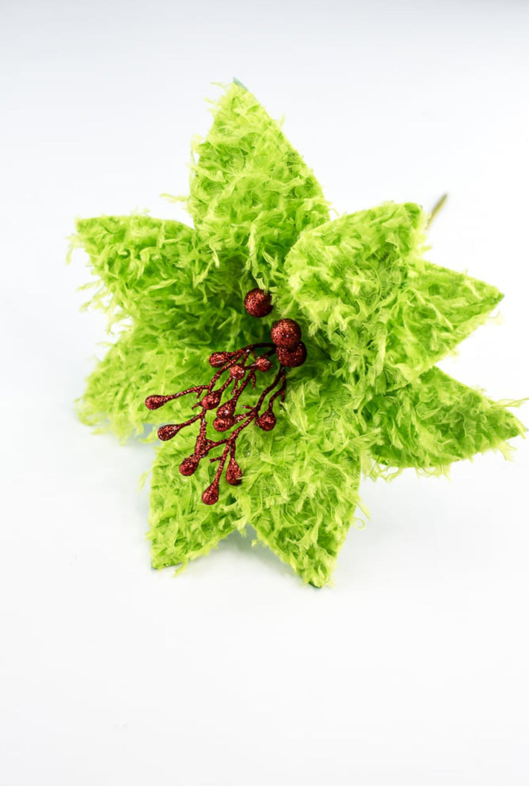 Lime green furry fluffy poinsettias - Greenery MarketXS410251