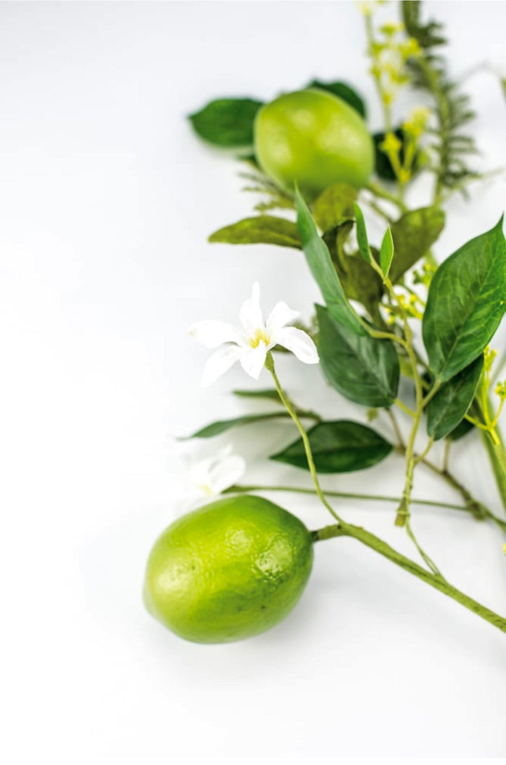 Limes fruit spray with mixed greenery - Greenery MarketArtificial Flora62937SP28