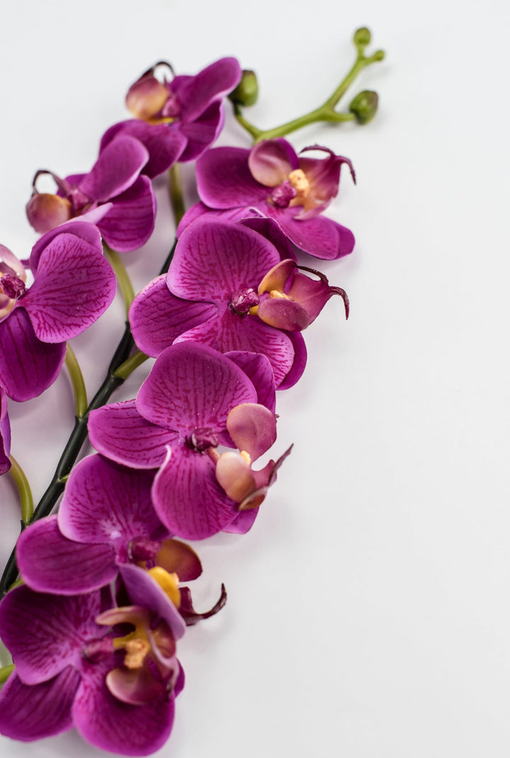 Mini phalaenopsis, orchid Flower spray - Greenery MarketArtificial FloraMTF23889 FUSH