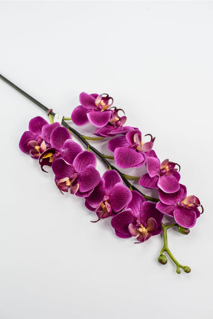 Mini phalaenopsis, orchid Flower spray - Greenery MarketArtificial FloraMTF23889 FUSH