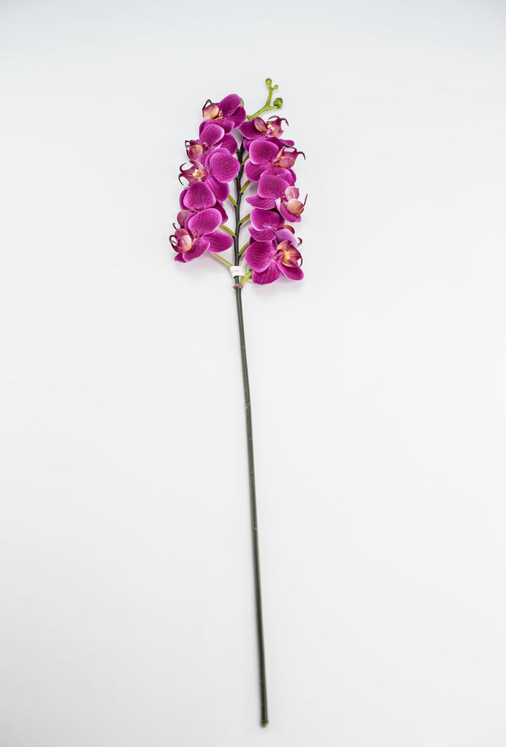 Mini phalaenopsis, orchid Flower spray - Greenery MarketArtificial FloraMTF23889 FUSH