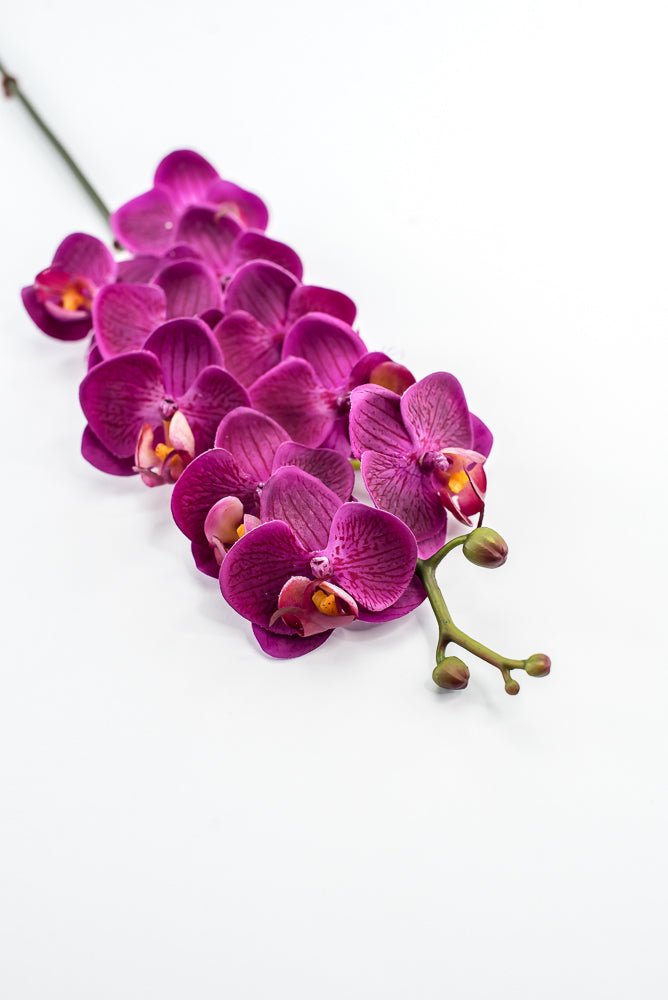 Mini phalaenopsis, orchid Flower spray - Greenery MarketArtificial FloraMTF23889 FUSH
