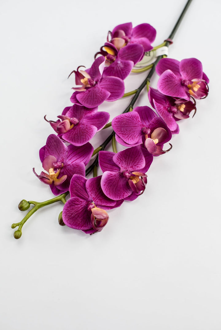 Mini phalaenopsis, orchid Flower spray - Greenery MarketArtificial FloraMTF23889 FUSH